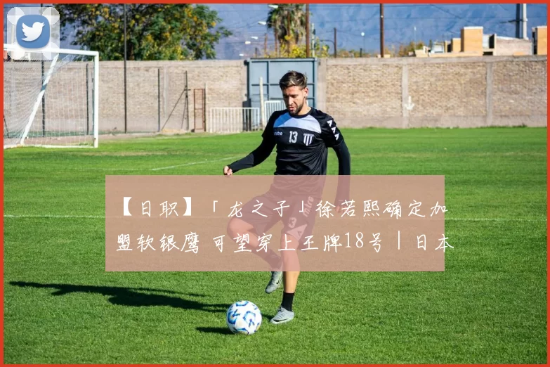 【日职】「龙之子」徐若熙确定加盟软银鹰 可望穿上王牌18号｜日本职棒