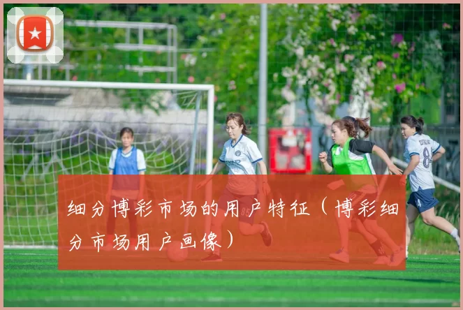 细分博彩市场的用户特征（博彩细分市场用户画像）