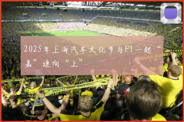 2025年上海汽车文化节与F1一起“嘉”速向“上”