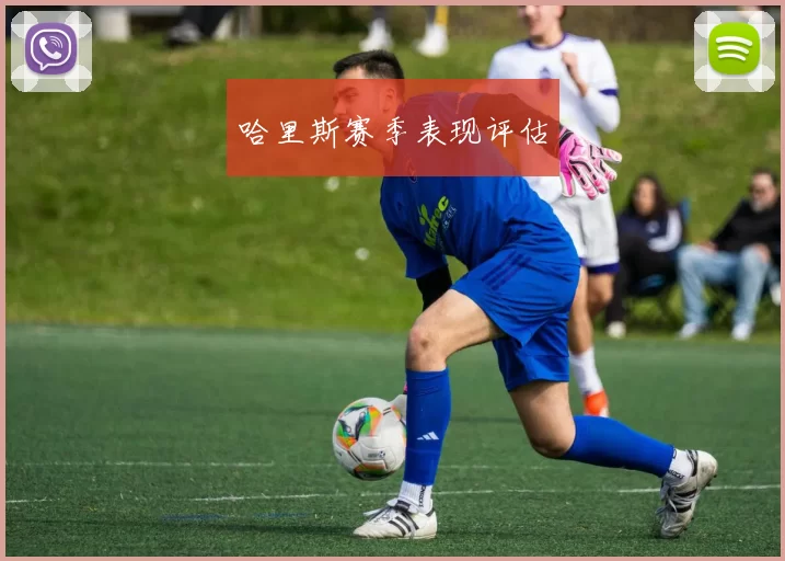 哈里斯赛季表现评估