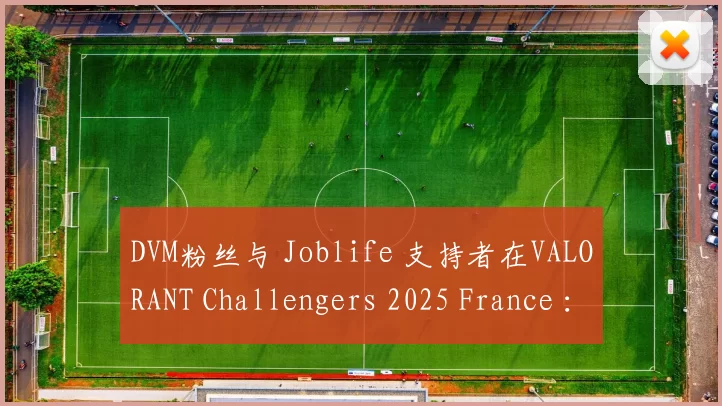 DVM粉丝与 Joblife 支持者在VALORANT Challengers 2025 France ：革命第二阶段引发冲突