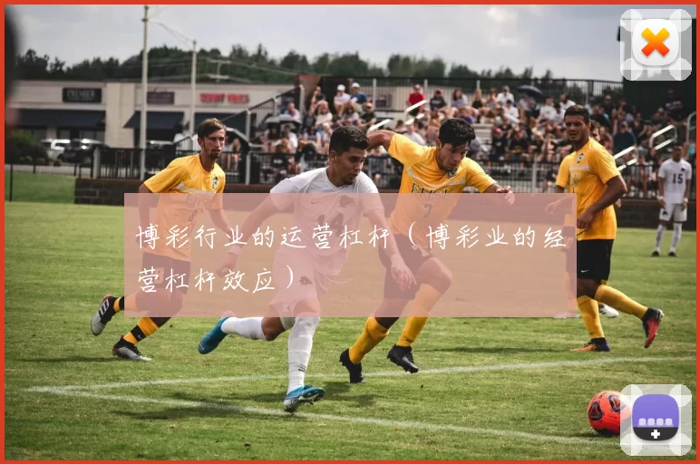 博彩行业的运营杠杆（博彩业的经营杠杆效应）