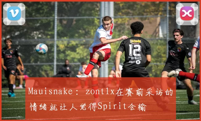 Mauisnake ：zont1x在赛前采访的情绪就让人觉得Spirit会输