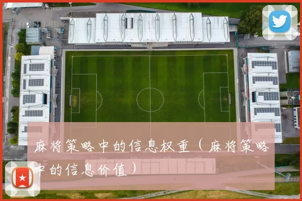 麻将策略中的信息权重（麻将策略中的信息价值）